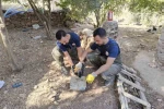 Şanlıurfa’da foseptik çukuruna düşen köpek yavrusu kurtarıldı