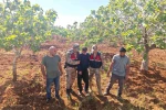 Şanlıurfa’da kaybolan çocuk fıstık bahçesinde bulundu
