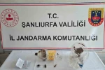 Şanlıurfa’da uyuşturucu madde ele geçirildi