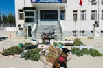 Şanlıurfa’da uyuşturucu operasyonu: 3 gözaltı