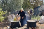 Şanlıurfa’da üzümün pekmez yolculuğu başladı