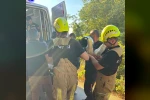 Şarampole yuvarlanan kadın motosikletçi yaralandı