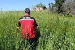 Sarıgöl’de huhubatta verim için ekipler sahada