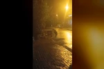 Sarıkamış’ta ayılar kış uykusunu unuttu