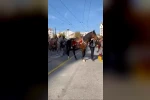 Şehir merkezinde gezdirilen atlar vatandaşları meraklandırdı