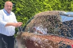 Şehir merkezinde otomobili arılar sardı