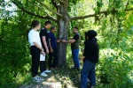 Şehir merkezine yakın köylere kadar inen ayı için Milli Parklar fotokapan kurdu
