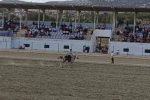 Selendi Beypınar Atlı Cirit Takımı Manisa’yı temsil edecek