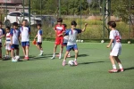 Şenol Ünlü: "Futbol okulları ticarethaneye döndü"