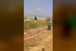 Şerare yapan elektrik telleri yangına sebep oldu