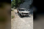Seyir halindeki araçta çıkan yangın, ormanlık alana sıçradı