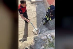 Siirt’te 1 buçuk metrelik yılan evin bahçesinden çıktı