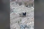 Siirt’te araç şarampole yuvarlandı: 1’i ağır 4 yaralı
