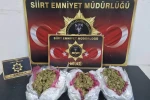Siirt’te aranan 33 şahıs yakalandı, çok sayıda suç unsuru ele geçirildi