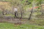 Siirt’te el freni çekilmeyen kamyonet uçuruma yuvarlandı