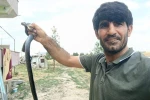 Siirt’te evine giren yılanı eliyle yakaladı