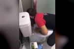 Siirt’te lavabo gider borusuna sıkışan 2 yavru kedi itfaiye ekiplerince kurtarıldı