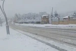 Siirt’te okullar yarım gün tatil edildi 
