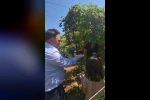 Siirt’te özel bireyler ve çocuklar böğürtlen hasadında buluştu