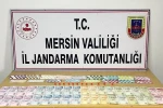 Silifke’de depoya kumar baskını: 21 kişi suçüstü yakalandı
