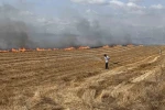 Silivri’de tarla yangınına havadan müdahale ediliyor