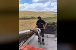 Silvan’da 2 dönümlük ekili alan kül oldu