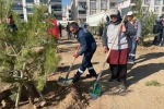 Sincan Belediye Başkanı Ercan: "Sincan’da kişi başına düşen yeşil alan için 15 metrekare civarında bir alandan söz edebiliriz"