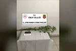 Sinop’ta kenevir ve kubar esrar ele geçirildi