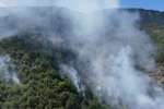 Sinop’ta orman yangını