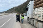 Sinop’ta ormanlara koruma kalkanı