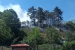 Sinop’taki orman yangınıyla ilgili 1 kişi tutuklandı 