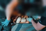Şırnak’ta 9 kilo 700 gram uyuşturucu ele geçirildi