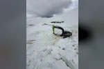 Şırnak’ta çığ düşen yolu açmak için ekipler seferber oluyor 