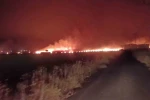 Şırnak’ta çıkan yangında 300 dönümlük alan küle döndü