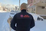 Şırnak’ta sokak hayvanları barınaklara toplandı