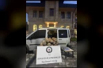 Sivas’ta 186 kilo kaçak tütün ele geçirildi