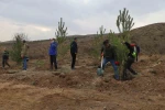 Sivas’ta 58 bin fidan toprakla buluşturuldu