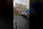 Sivas’ta bitkin halde bulunan şahin, yeniden doğaya salındı