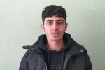 Sivas’ta kurtlar tedirgin etmeye başladı