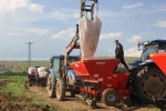 Sivas’ta patates ekim sezonu başladI, hedef 75 bin ton