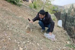 Siverek’te sahipsiz kedilere mama bırakıldı