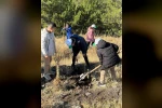 Sivrice’de fidan dikme etkinliği düzenlendi