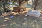 Soğuk kış şartlarında hayvanlar için korunaklı kulübeler yaptılar