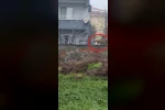 Sokak aralarında gezen tilki dikkat çekti