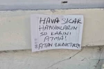 Sokak hayvanlarının su kabını atanlara ilginç tepki: "Atan zındıktır"