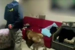 Sokak satıcılarına büyük darbe: 12 şahıs tutuklandı