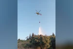 Söke’de makilik ve zeytinlik yangını