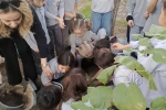 Söke’de Orman Haftası’nda fidanlar gelecek için toprakla buluştu
