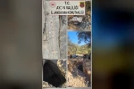 Söke’de sit alanında kaçak kazıya jandarmadan suçüstü