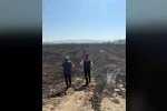 Söke’de yangından zarar gören tarım arazileri incelendi